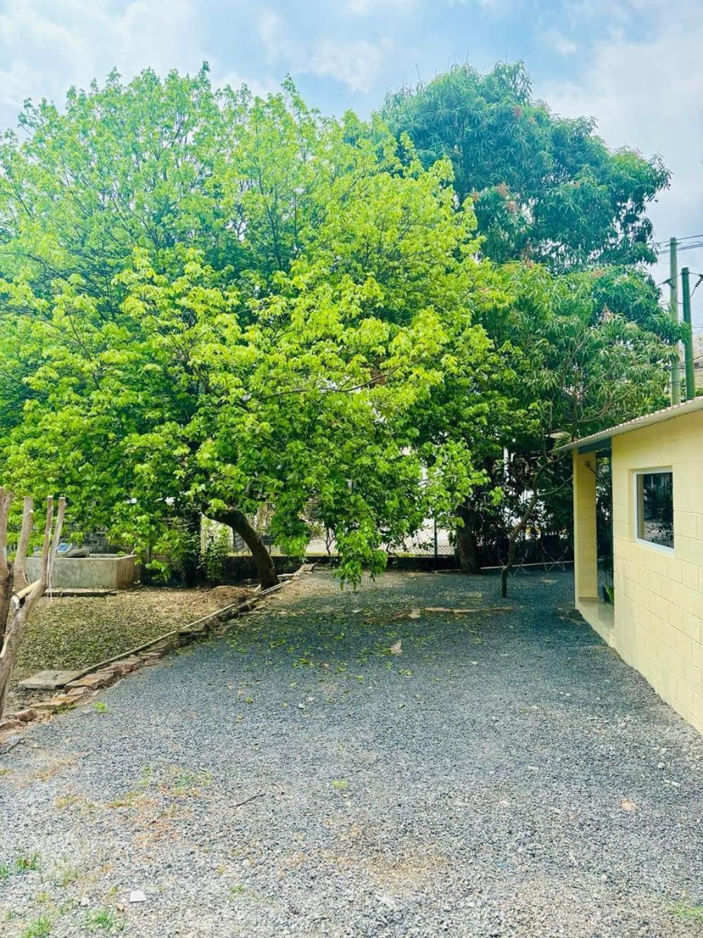 Hostal Camila'S Tamanique Dış mekan fotoğraf