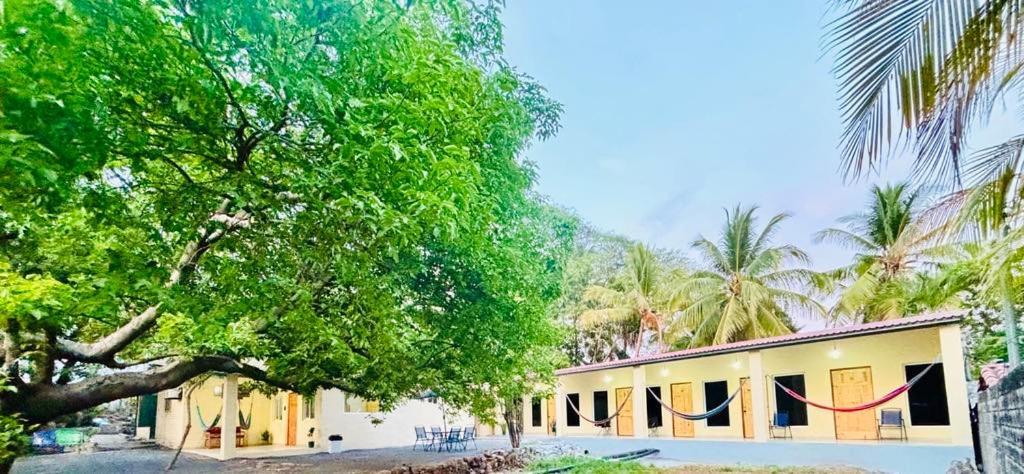 Hostal Camila'S Tamanique Dış mekan fotoğraf